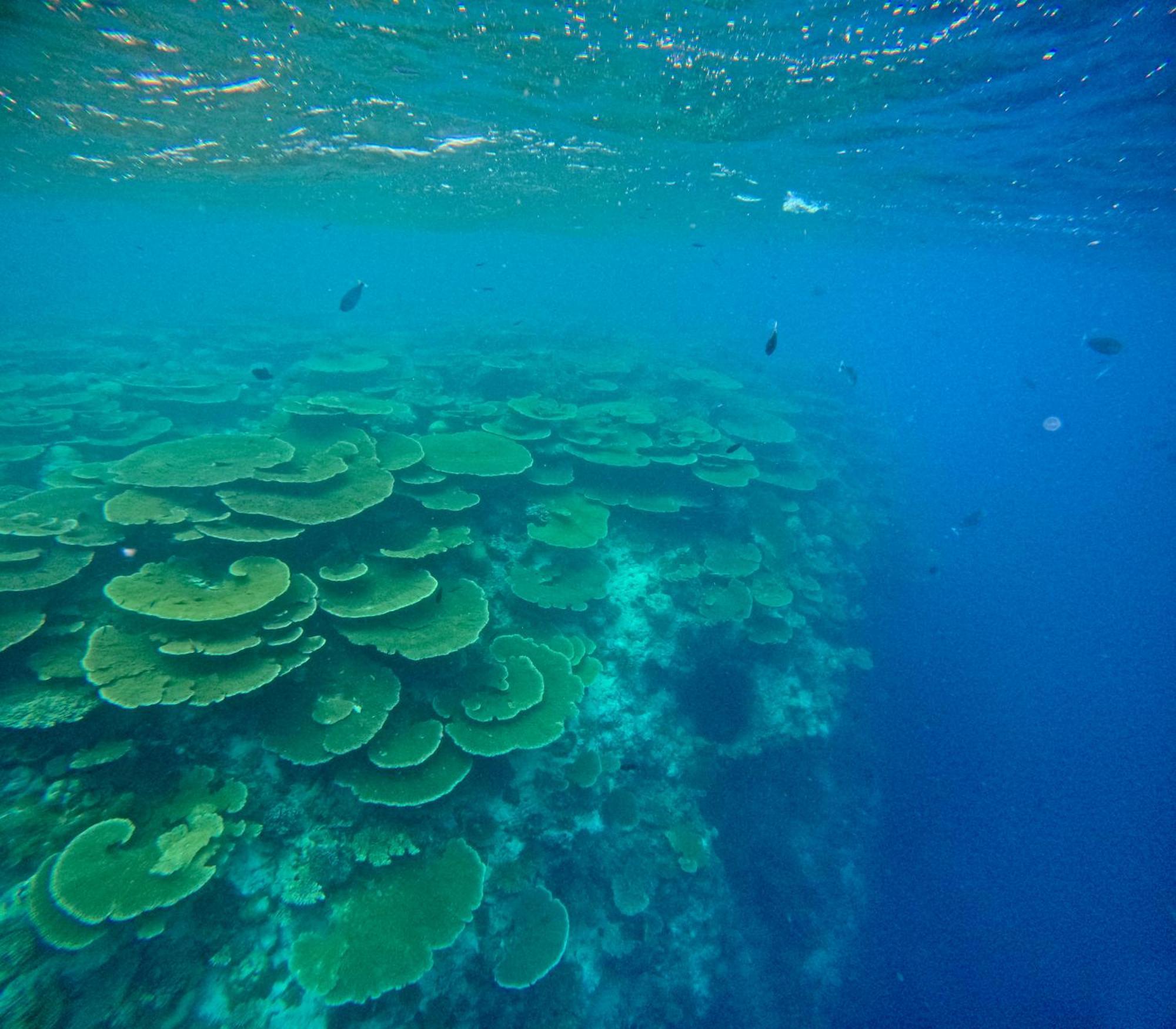 Hotel Konut By Thakuru Guraidhoo  Zewnętrze zdjęcie